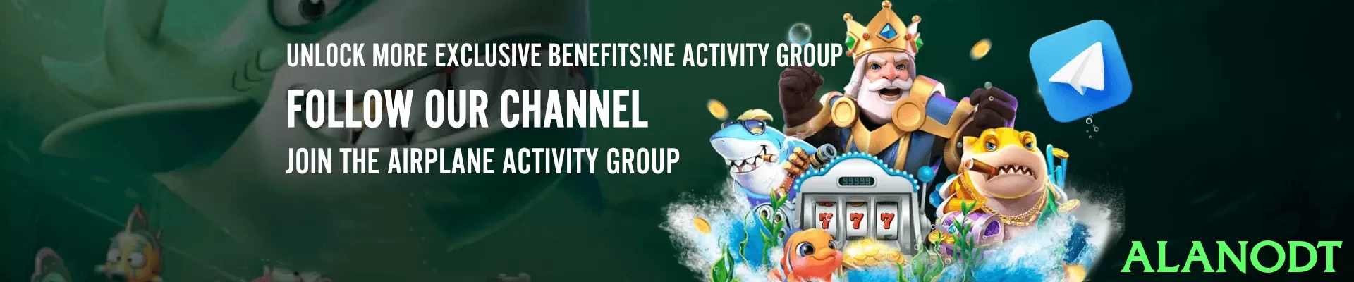 alanodt Pakistan - 3